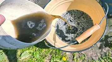 خرید یونجه